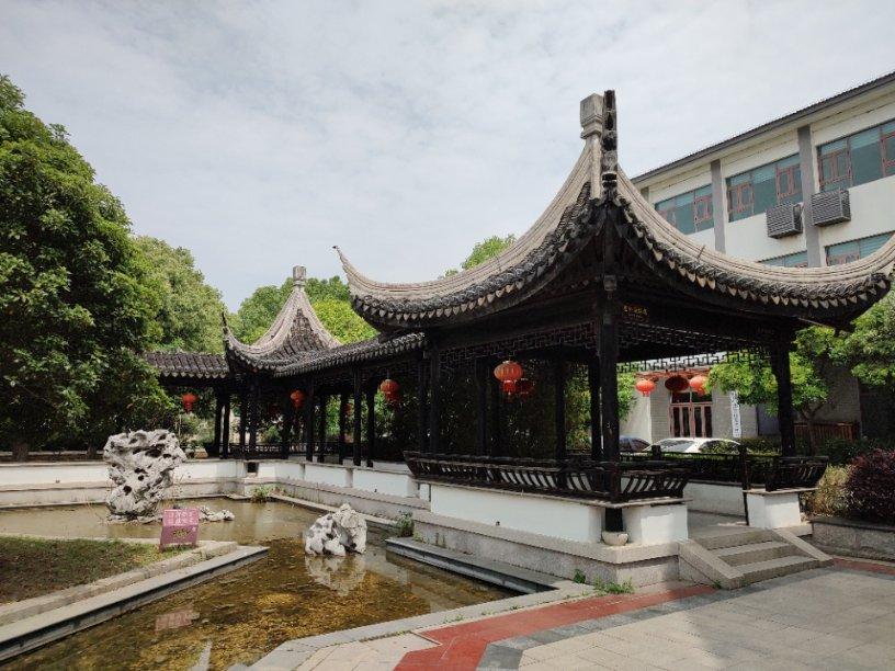 奥日与黑暗森林